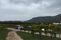 93381a69-9b5c-4815-8061-236799d36669