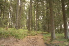 IMG_0216_edited