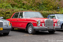 52-_DSC5272