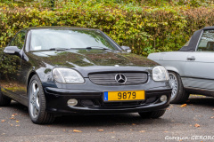 53-_DSC5276