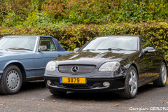 55-_DSC5281