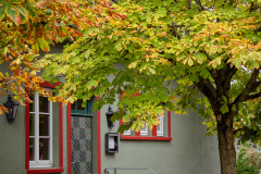 75-_DSC5338