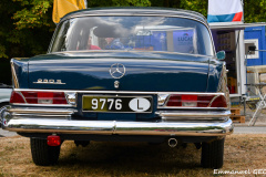 DSC_8113