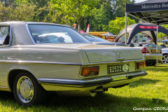 DSC1186a