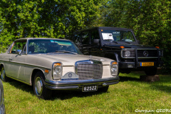 DSC1195