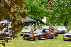 DSC_0654